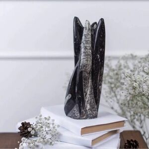 12” Orthoceras Fossil Tower Polished Black Stone Modern Natural Decor Accent